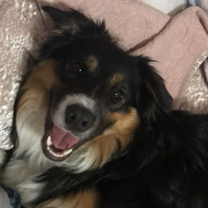 Meet your Posher, Emelia